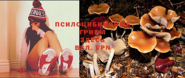 соль ск Остров