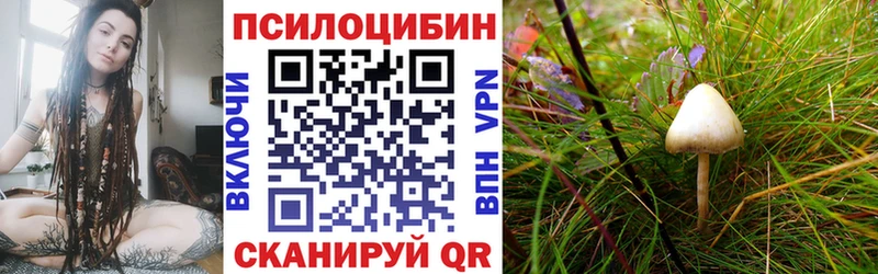 omg рабочий сайт  хочу   Пятигорск  Псилоцибиновые грибы GOLDEN TEACHER 
